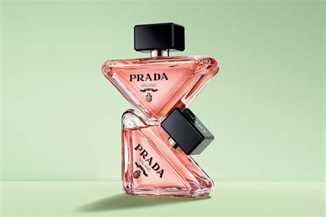 gucci prada perfume